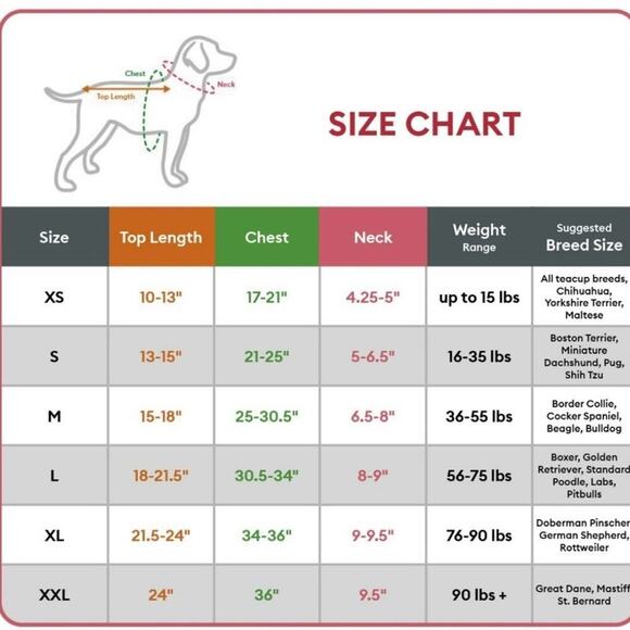 Top Paw® Birthday "Party Animal" Dog Tee & Bandana Set - XS - Picture 6 of 10